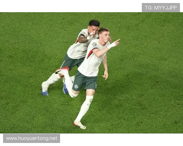 巴媒称帕尔梅拉斯训练基地遭爆炸物袭击俱乐部呼吁当局彻查真相